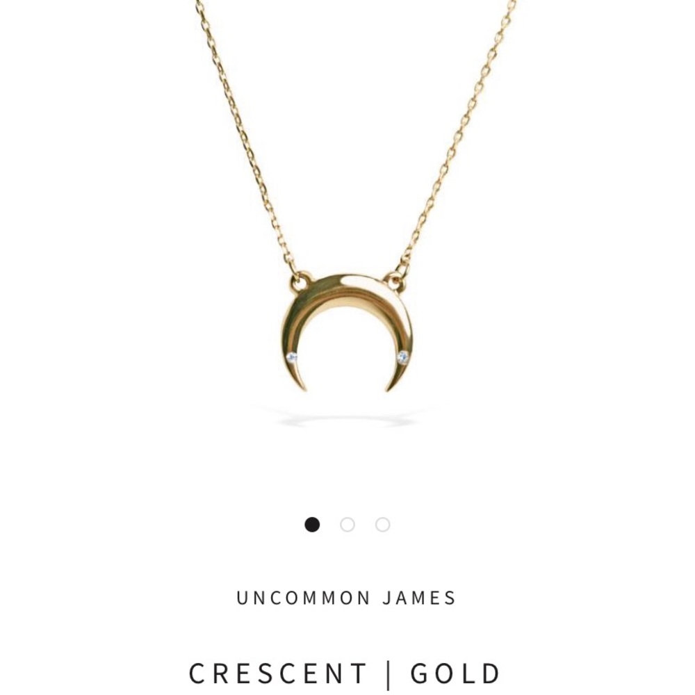 Uncommon James Gold Crescent Necklace - NWT!